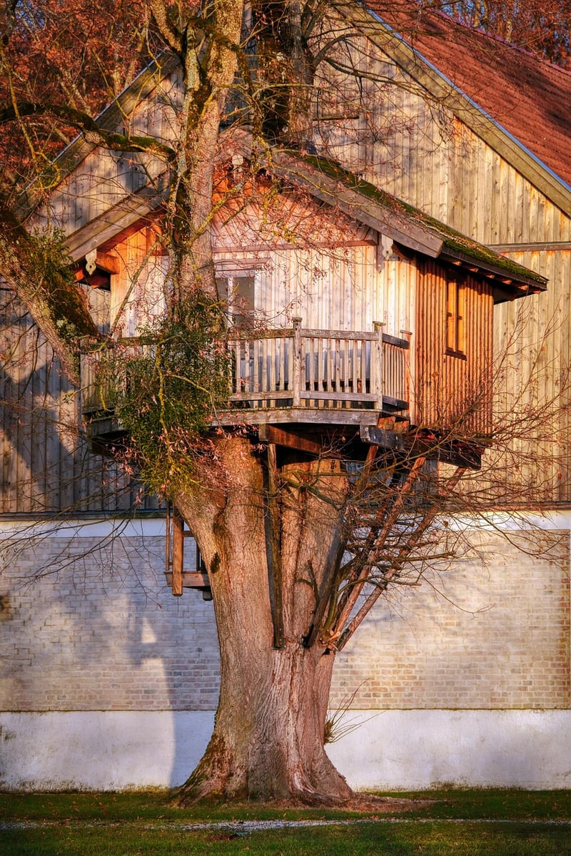Mystical Treehouse Experience