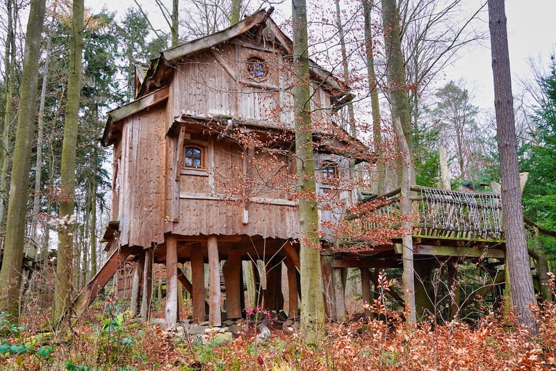 Mystical Treehouse